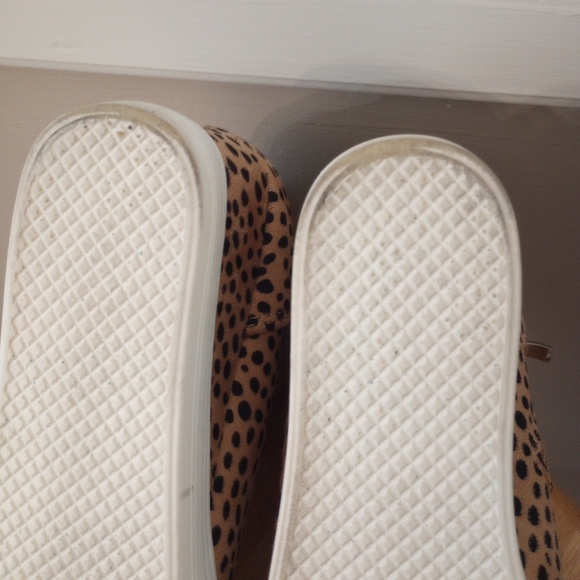 Ccocci heel high top Gym shoes size 8 zoey - Picture 6 of 8